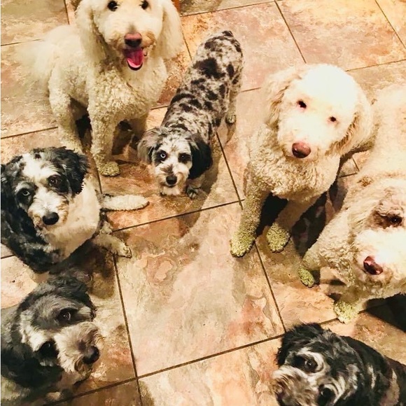 Meet your Posher Jennifer💚 - Picture 7 of 12